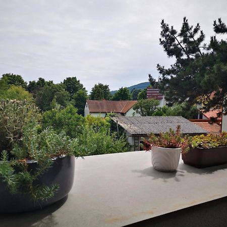 Spacy Apartment Next To The Center Of Graz With Terrasse 외부 사진