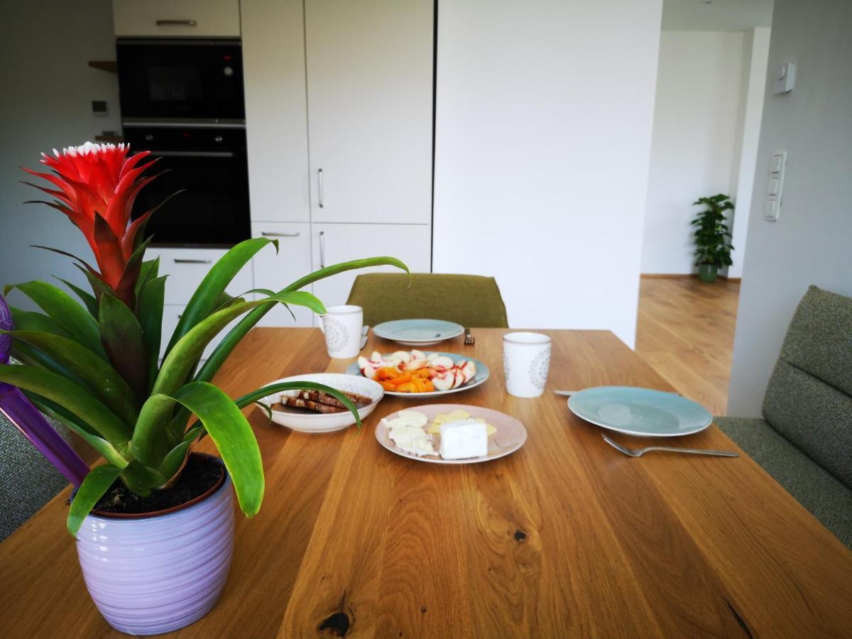 Spacy Apartment Next To The Center Of Graz With Terrasse 외부 사진