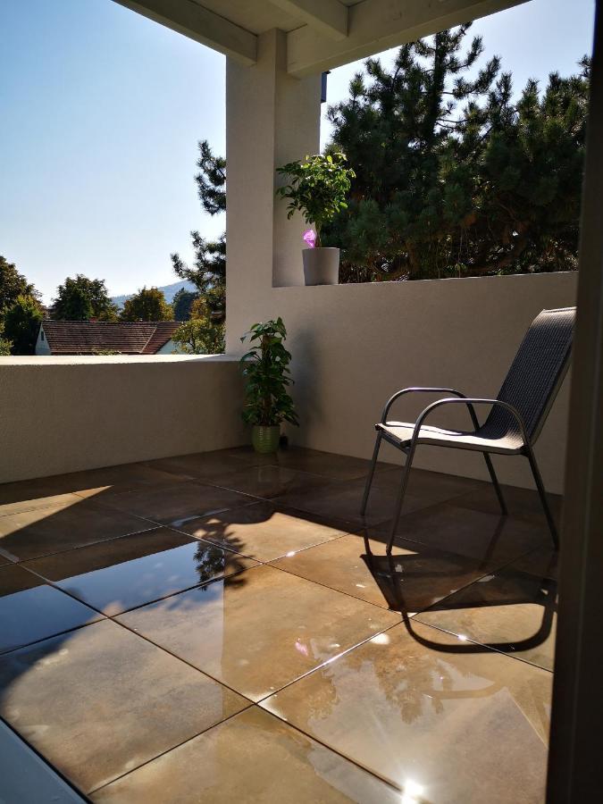 Spacy Apartment Next To The Center Of Graz With Terrasse 외부 사진